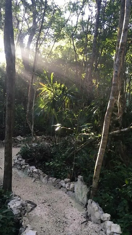 Casa Tzalam Departamento Jungle Apartment Tulum