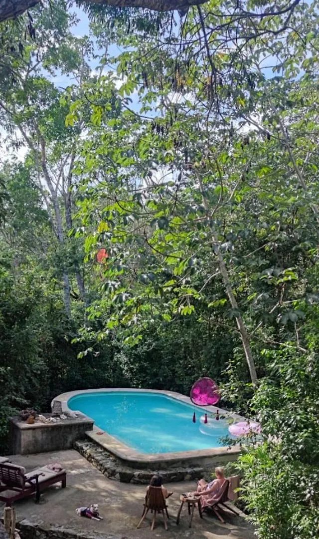 Casa Tzalam Departamento Jungle Apartment Tulum