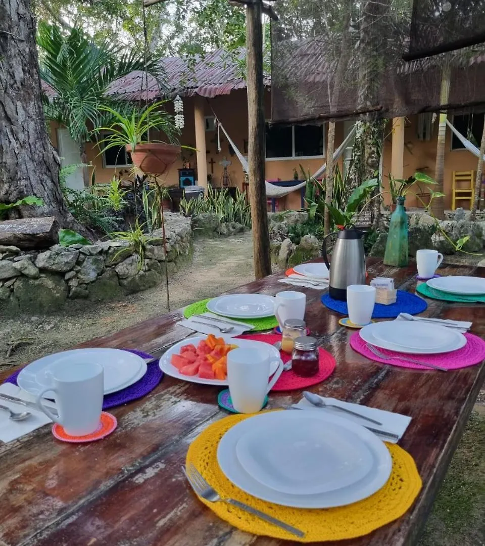 Casa Tzalam Departamento Jungle Apartment Tulum Mexico